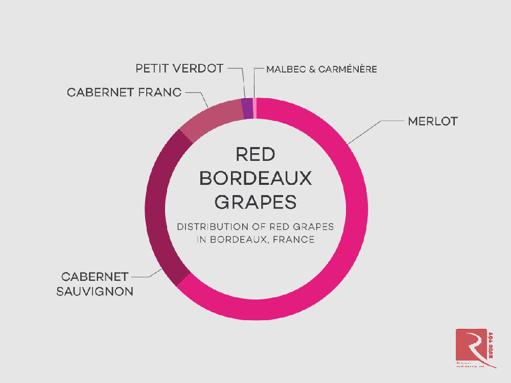 Những giống nho nào tạo nên một sự pha trộn của Bordeaux?