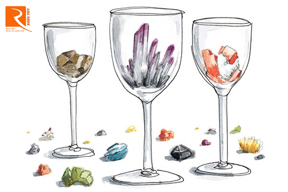 Những khoáng chất hiếm tìm thấy trong rượu vang