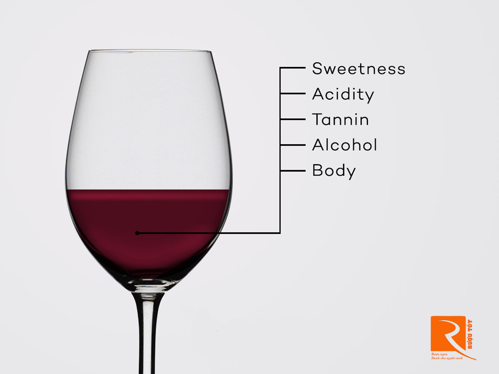 Những yếu tố để chọn rượu vang hợp sở thích của bạn