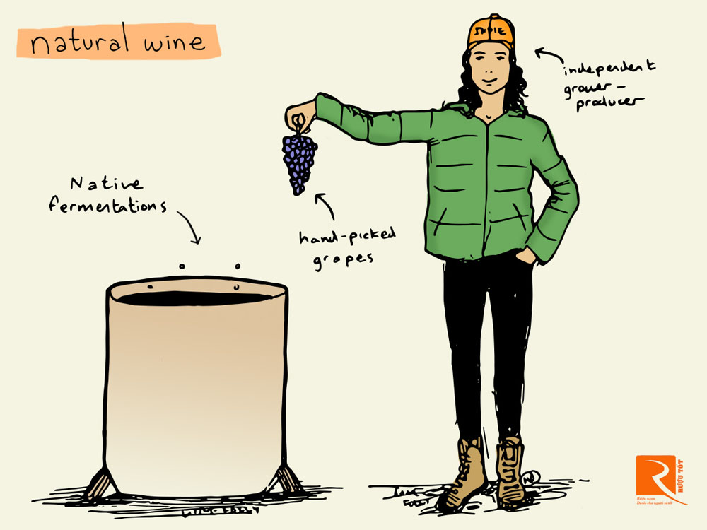 Vậy thực chất, rượu vang tự nhiên là gì?