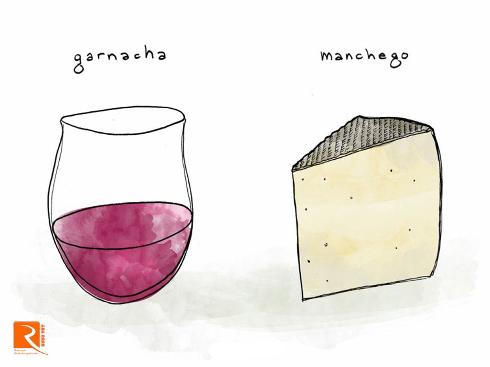 Garnacha và Manchego Cheese rất hòa hợp với nhau