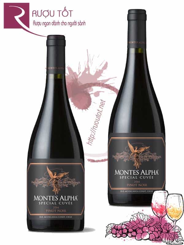 Vang Chile Montes Alpha Special Cuvee Pinot Noir