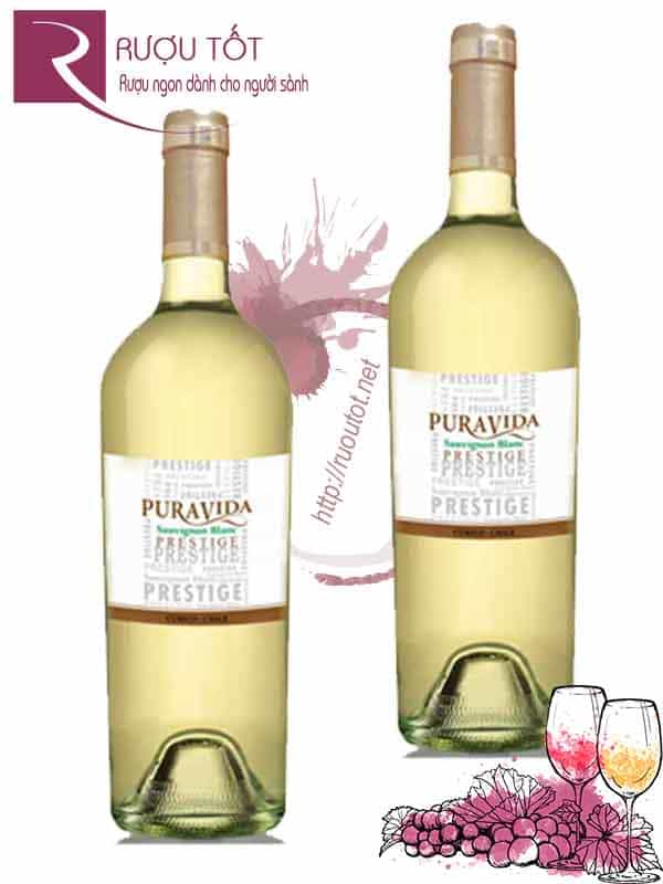 Vang Chile PuraVida Reserva Special 10 Sauvignon Blanc Cao Cấp