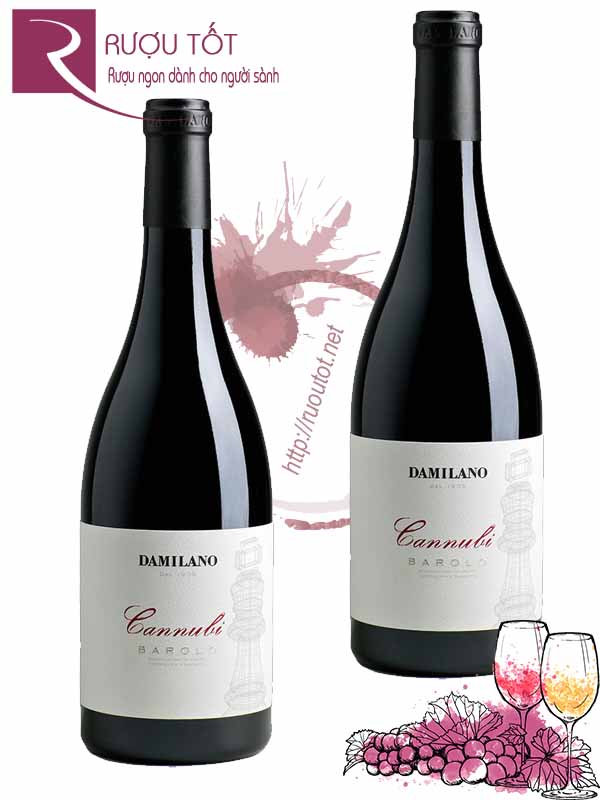 Rượu vang Damilano Barolo Cannubi Cao cấp