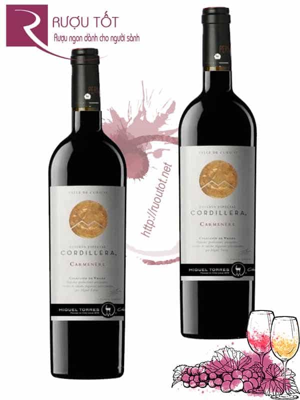 Vang Chile Cordillera Carmenere Migeul Torres Thượng hạng