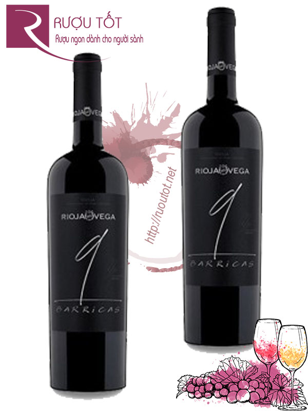 Rượu vang Rioja Vega 9 Barricas Rioja DOC Thượng hạng