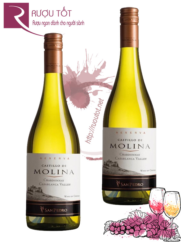 Vang Chile Castillo de Molina Reserva Chardonnay Chiết khấu cao