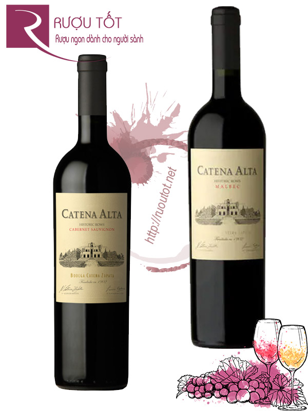 Rượu vang Catena Alta Cabernet Sauvignon Malbec Cao cấp