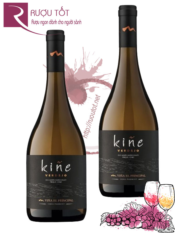 Rượu Vang Kine Verdejo Vina El Principal Maipo Valley Thượng hạng