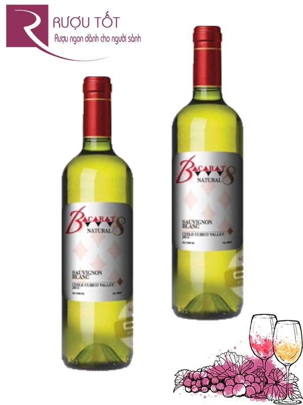 Giá sale: 240,000đ - Rượu vang Chile Bacarat Natural 8 Sauvignon Blanc
