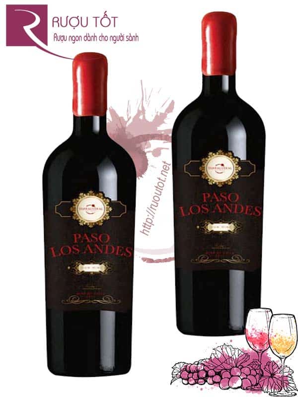 Vang Chile Paso Los Andes Icon wine 14,8 độ nhập khẩu