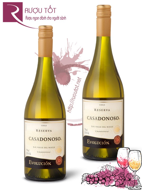 Vang Chile Casadonoso Reserva Chardonnay Thượng hạng