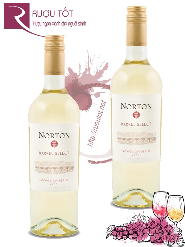 Rượu Vang Norton Barrel Select Sauvignon Blanc Bodega