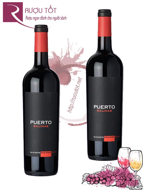 Rượu Vang Puerto Salinas 2010 Thượng hạng