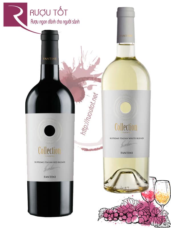 Rượu Vang Collection Fantini hảo hạng 12 tặng 1 (red – white)