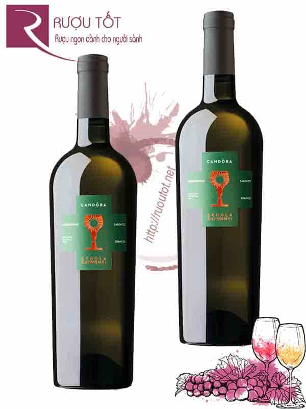 Rượu Vang Candora Chardonnay Schola Sarmenti