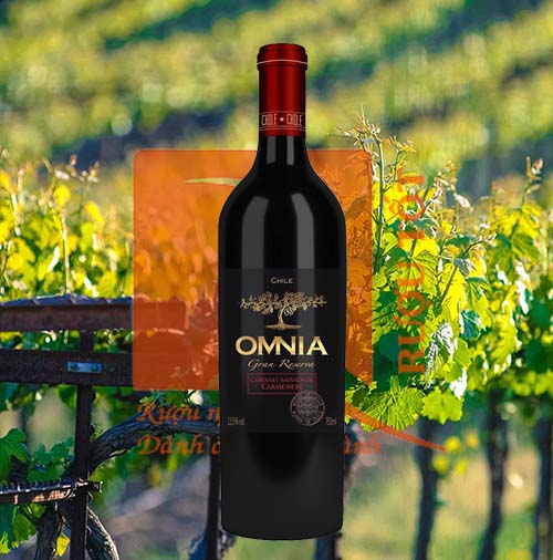 Rượu vang Omnia Gran Reserva