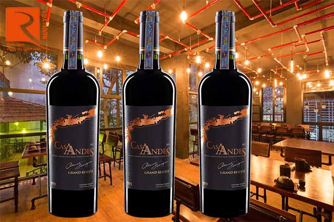  Rượu vang đỏ Cas Andes Grand Reserve