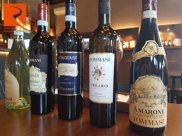 Rượu Vang Tommasi Valpolicella Ripasso Viticoltori