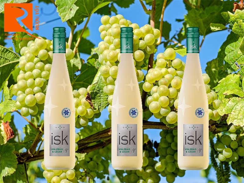 Rượu Vang Ngọt ISK Vin Frais Leger 9% - Vang trái cây