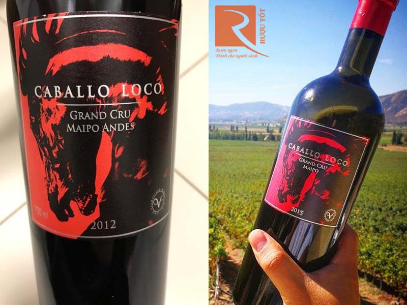 Rượu vang đỏ Caballo Loco Grand Cru Maipo Andes