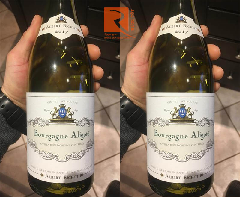 Rượu Vang Bourgogne Aligote Albert Bichot 12%