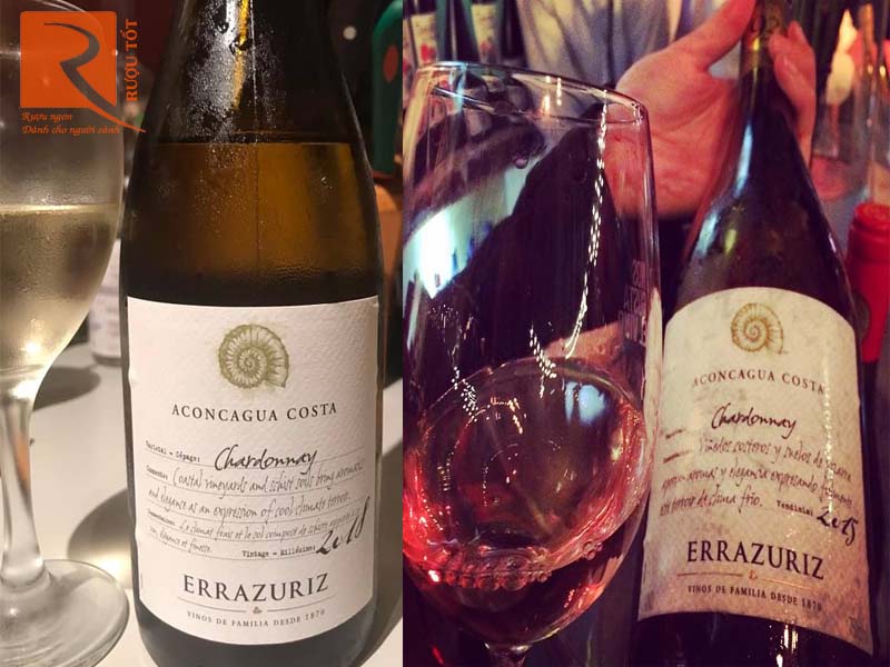 Rượu vang Errazuriz Aconcagua Costa Chardonnay