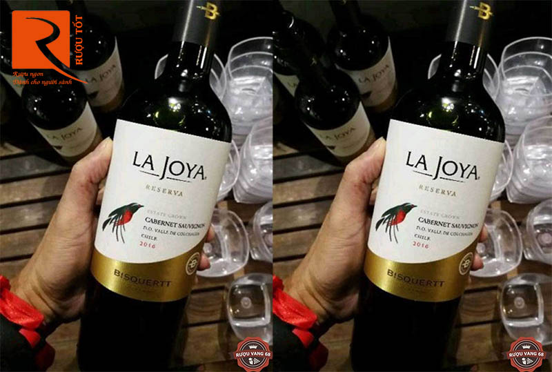 Rượu Vang La Joya Reserva Sauvignon Blanc Bisquertt