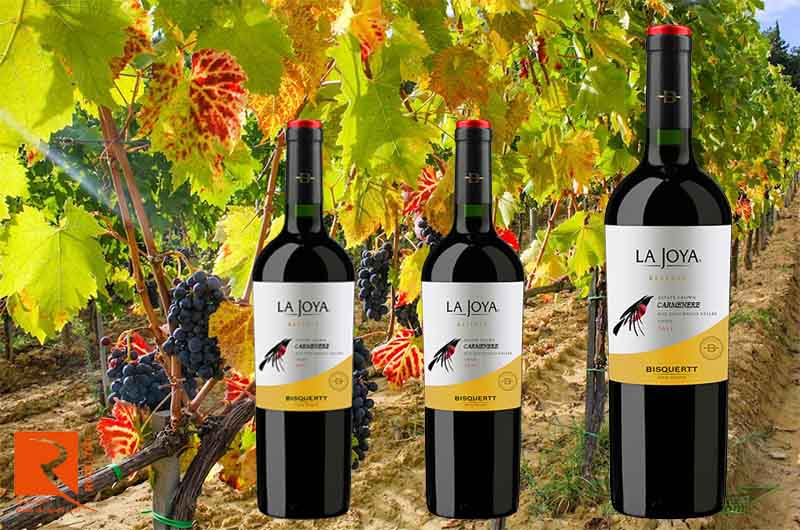 Rượu Vang La Joya Reserva Carmenere