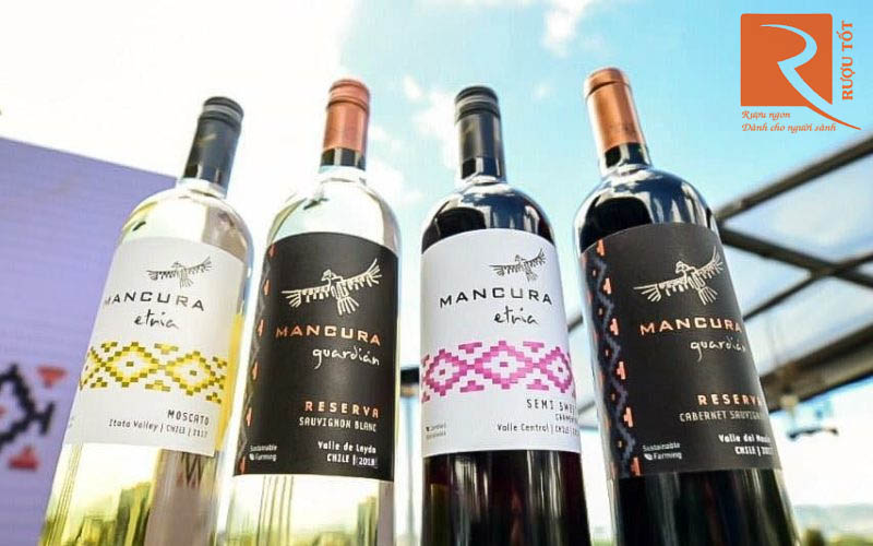Rượu Vang Mancura Guardian Reserva Cabernet Sauvignon