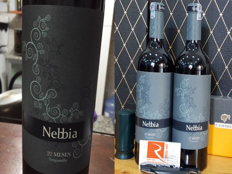 Rượu vang Nebbia 22 Meses