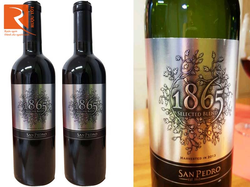 Rượu vang 1865 Selected Blend