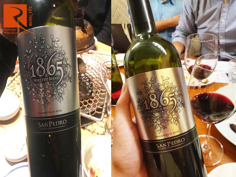 Vang đỏ 1865 Selected Blend