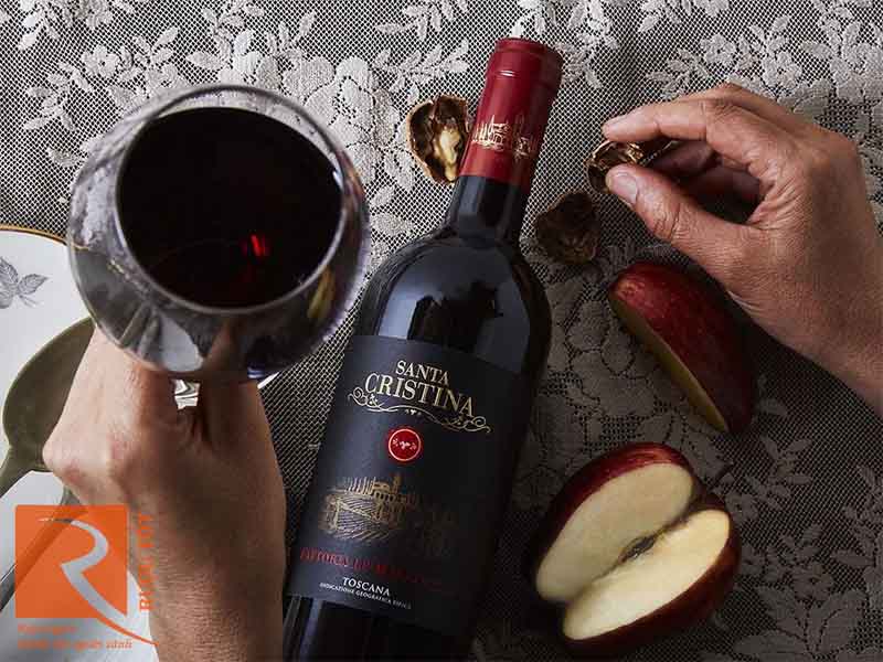 Rượu Vang Santa Cristina Fattoria Le Maestrelle Toscana