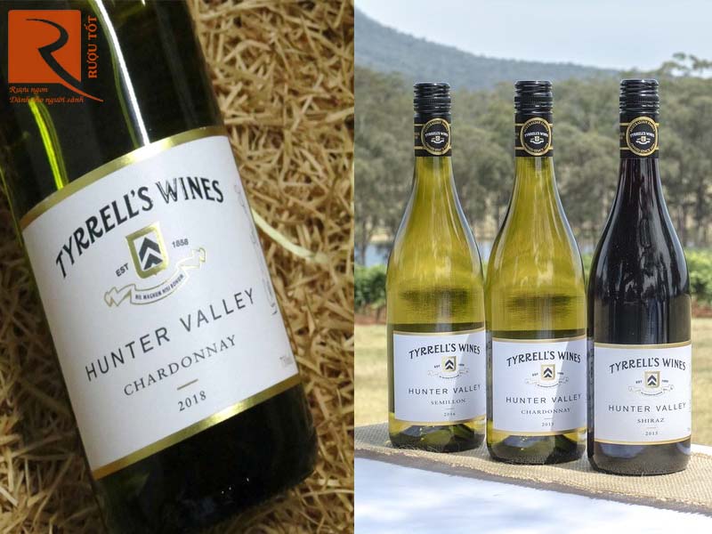 Rượu vang Tyrrell's Hunter Valley Chardonnay