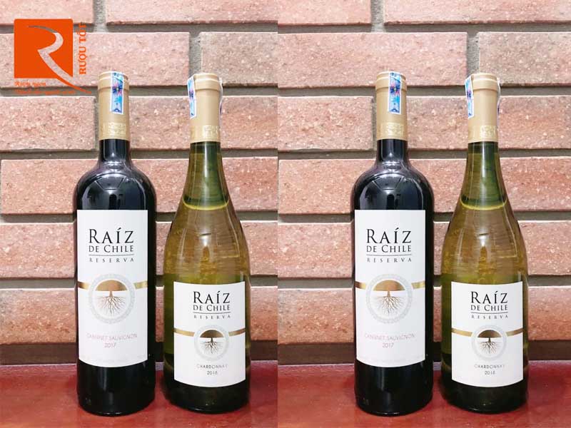 Rượu vang Raíz De Chile Chardonnay Reserva