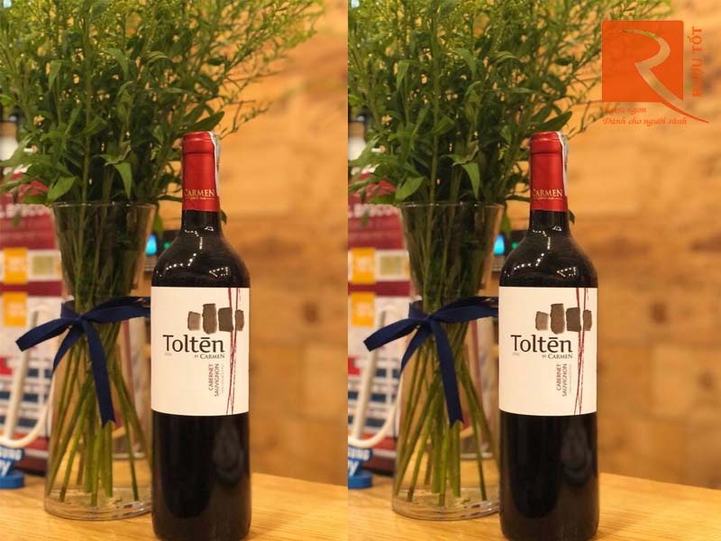 Rượu vang Carmen Tolten