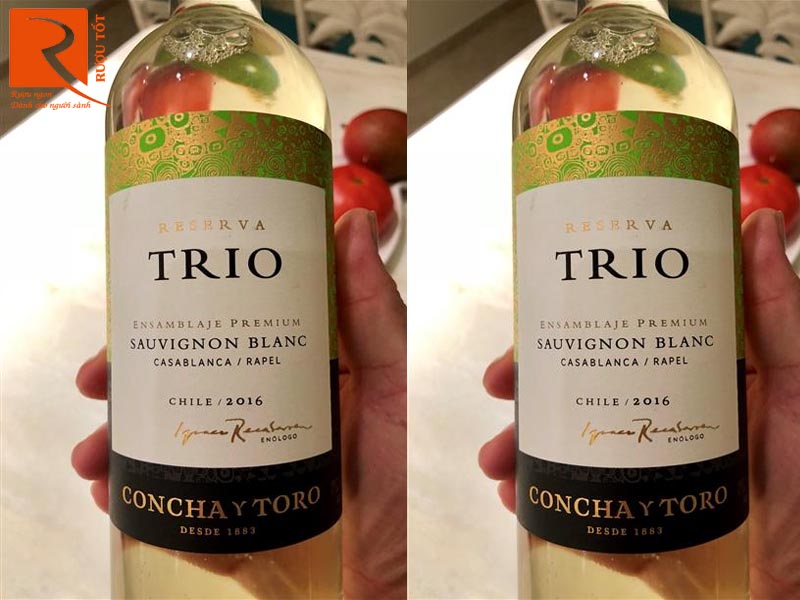 Trio Sauvignon Blanc Concha Y Toro