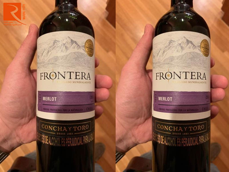 Rượu vang Chile Frontera Merlot Concha Y Toro Central Valley