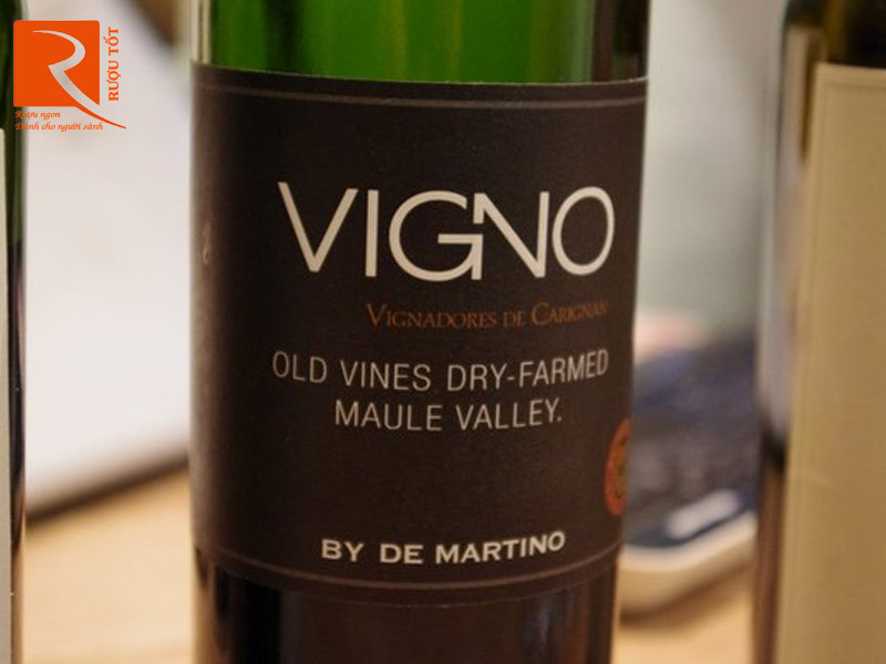 Rượu vang Chile Vigno Carignan Miguel Torres Old Vines Dry Farmed