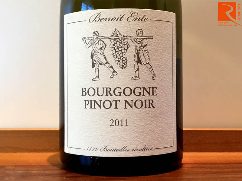 Bourgogne Pinot Noir  Benoit Ente
