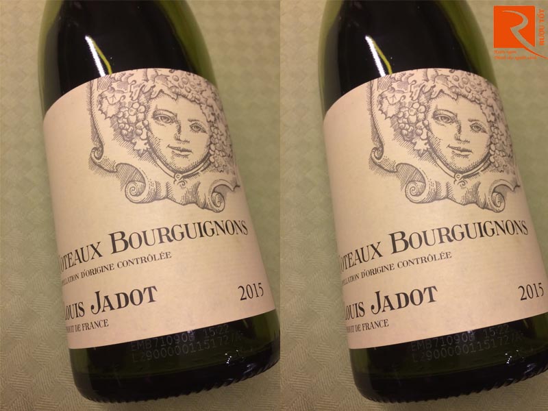 Rượu vang Pháp Coteaux Bourguignon Louis Jadot