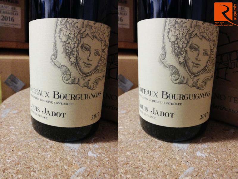 Rượu vang Pháp Louis Jadot Coteaux Bourguignon đỏ