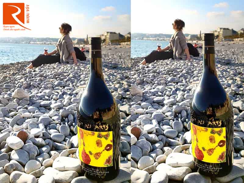 Rượu vang Pháp Pont des Arts Miquel Barcelo Label 