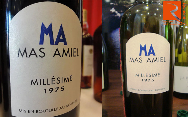 Rượu Vang Mas Amiel Millesime 1975