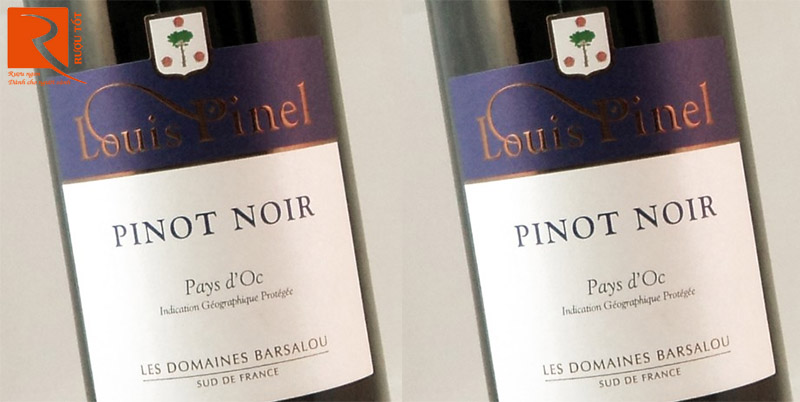 Rượu Vang Louis Pinel Pinot Noir