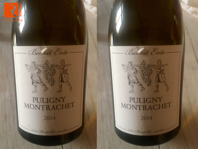 Rượu vang Pháp Puligny Montrachet Benoit Ente Gía rẻ