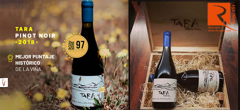 Rượu Vang Tara Atacama Pinot Noir