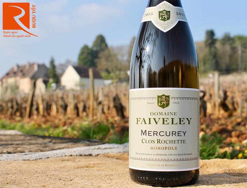 Rượu Vang Domaine Faiveley Mercurey Clos Rochette