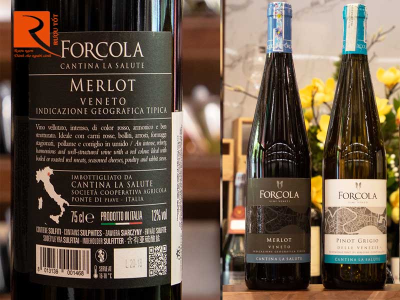 Vang Ý Forcola Merlot Veneto Cantina La Salute
